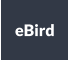 eBird