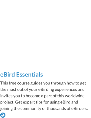 eBird Essentials This free course guides you through how to get the most out of your eBirding experiences and invites you to become a part of this worldwide project. Get expert tips for using eBird and joining the community of thousands of eBirders.    