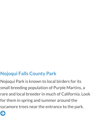 Nojoqui Falls County Park Nojoqui Park is known to local birders for its small breeding population of Purple Martins, a rare and local breeder in much of California. Look for them in spring and summer around the sycamore trees near the entrance to the park. 